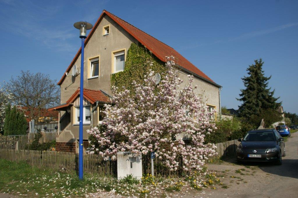 DSC03593